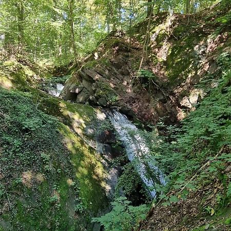 Ferienwohnung Zum Hirschen Herzberg am Harz Esterno foto