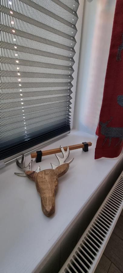 Ferienwohnung Zum Hirschen Herzberg am Harz Esterno foto