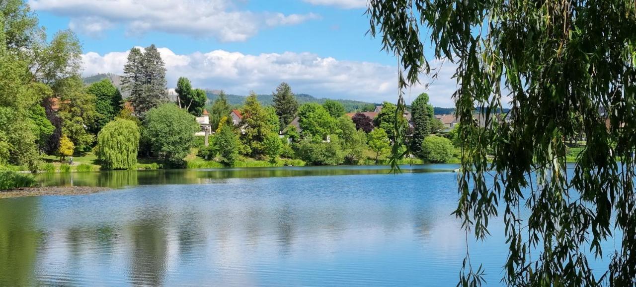 Ferienwohnung Zum Hirschen Herzberg am Harz Esterno foto