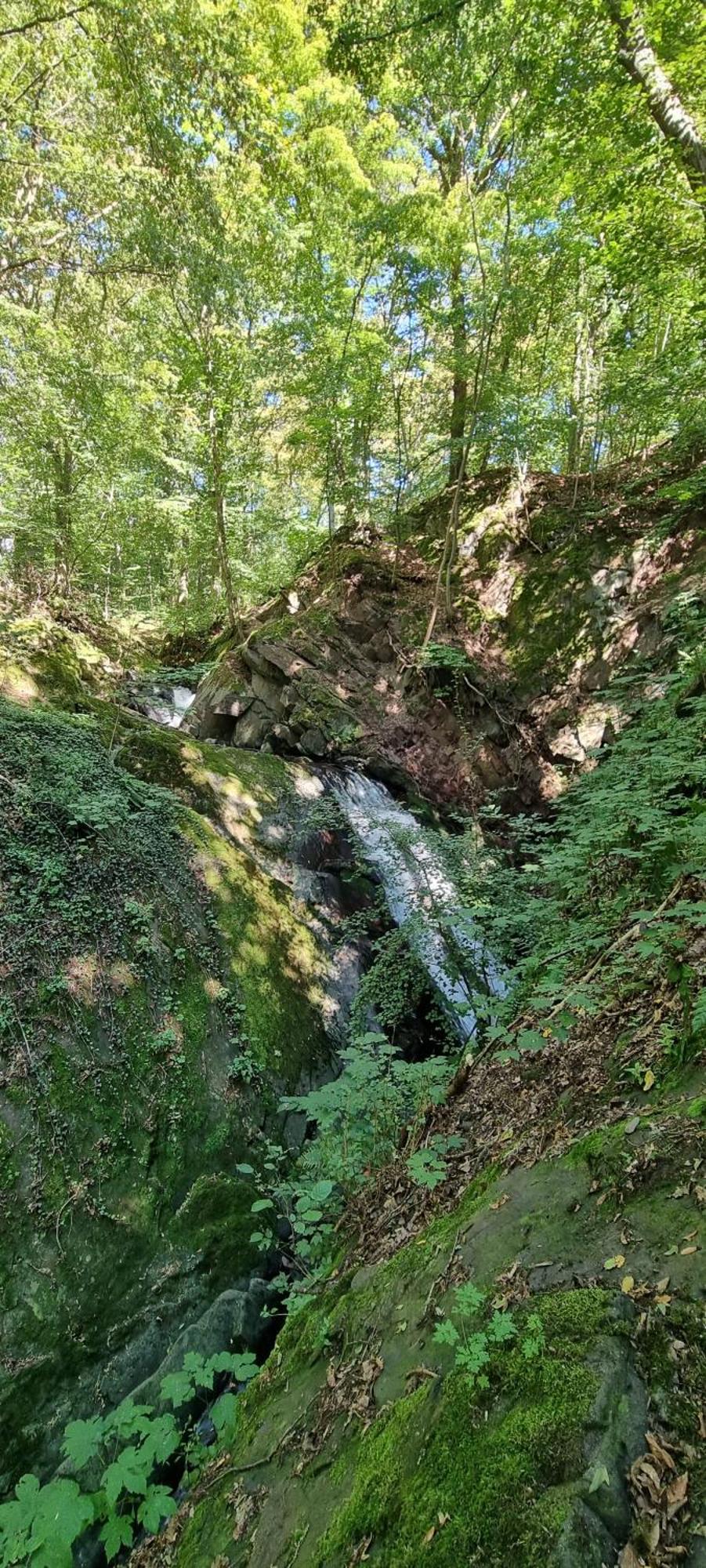Ferienwohnung Zum Hirschen Herzberg am Harz Esterno foto