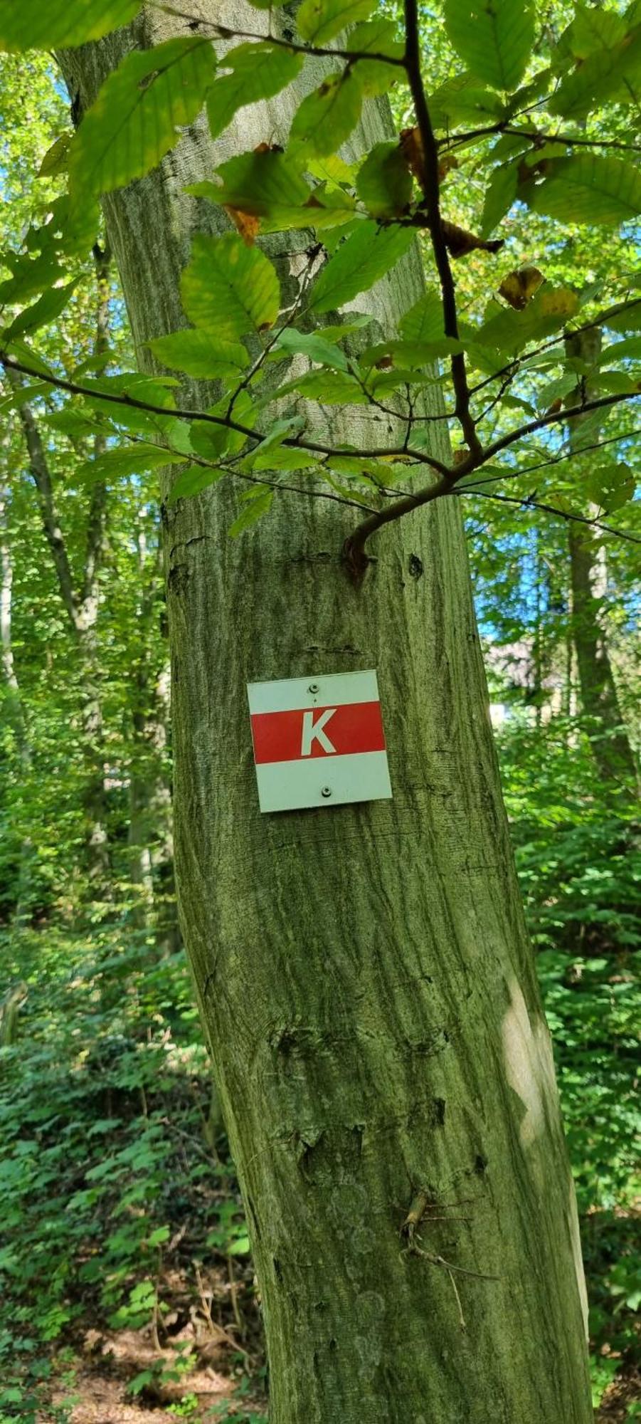 Ferienwohnung Zum Hirschen Herzberg am Harz Esterno foto